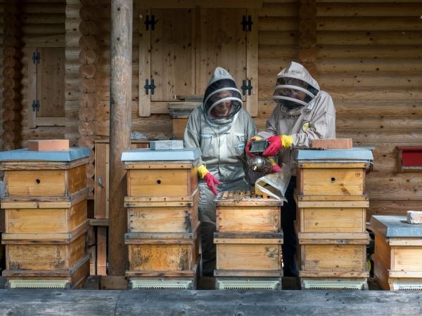 Markus Jenewein - Arbeit