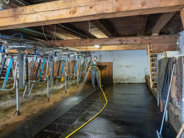 Markus Jenewein - Arbeit