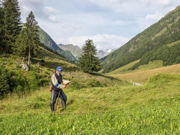 Markus Jenewein - Arbeit
