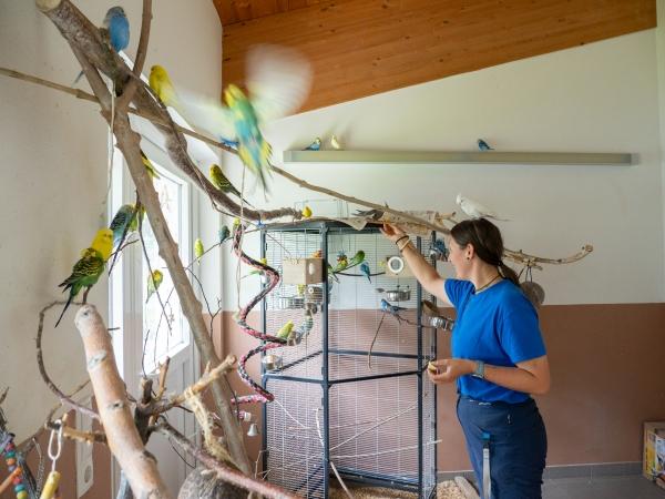 Markus Jenewein - Arbeit