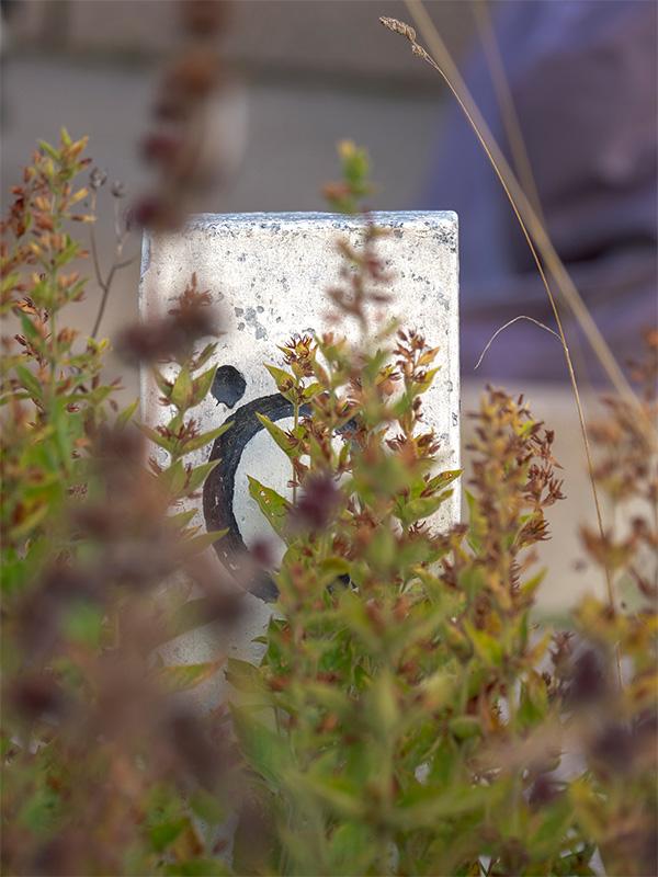 Übergänge nach Tirol