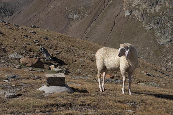 Übergänge nach Tirol