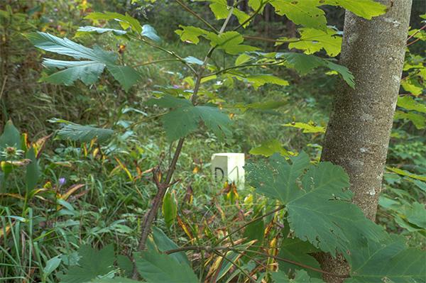 Übergänge nach Tirol