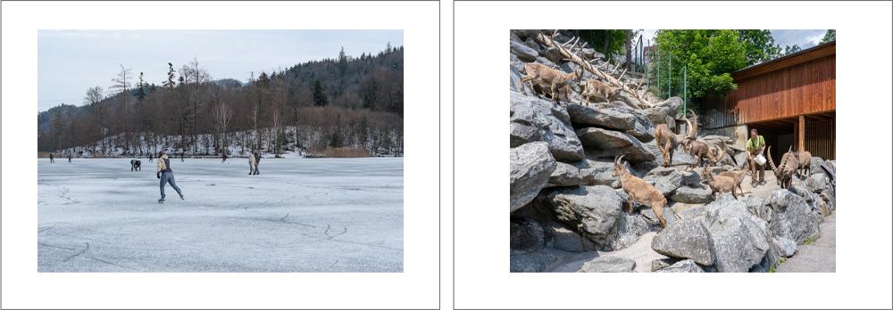 Tirol im Bild #4